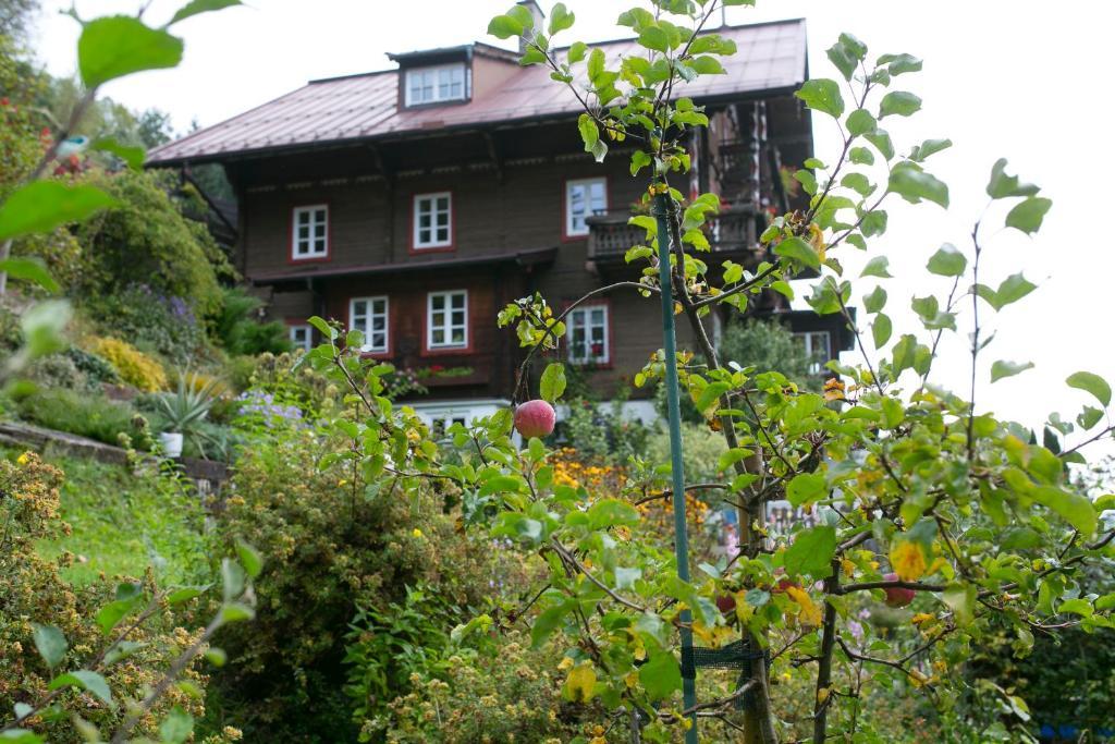 בית הארחה מיטרסיל 	Landhaus Alpina מראה חיצוני תמונה